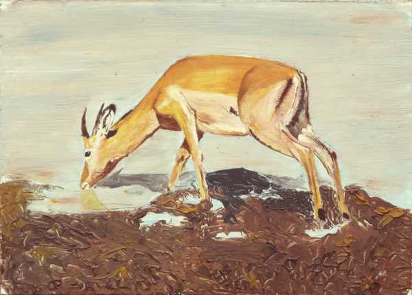 impala - a tiny oil painting